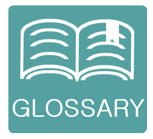 Brush Fiber Glossary